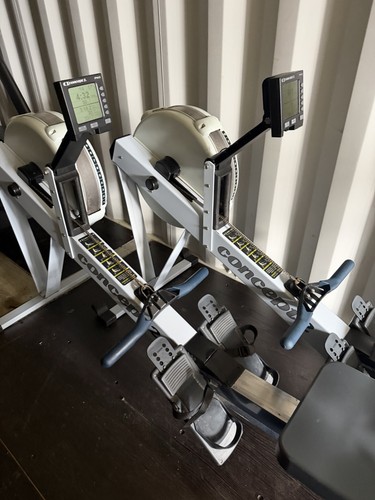Concept rower model with - rower, d